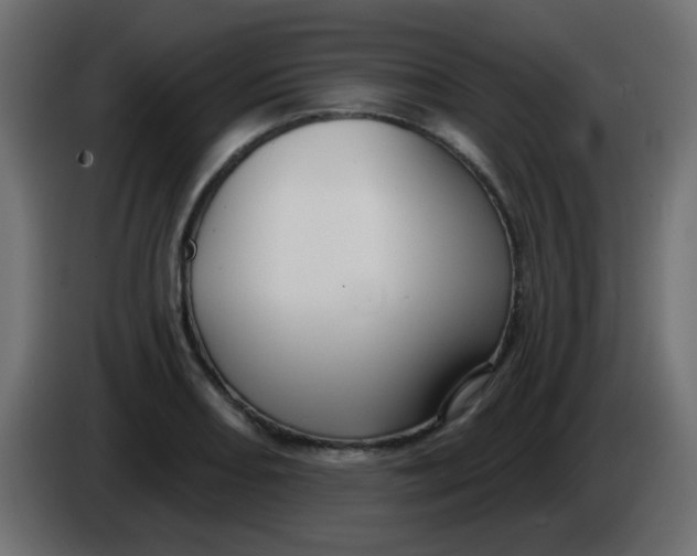 X0000086071082200704132035