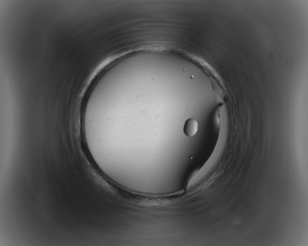 X0000086071083200704132035