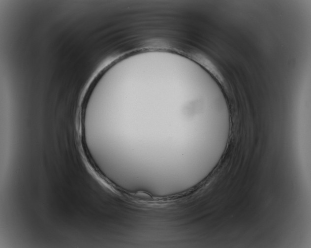 X0000086071084200704132035