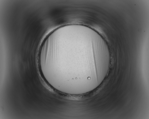 X0000086071086200704132035