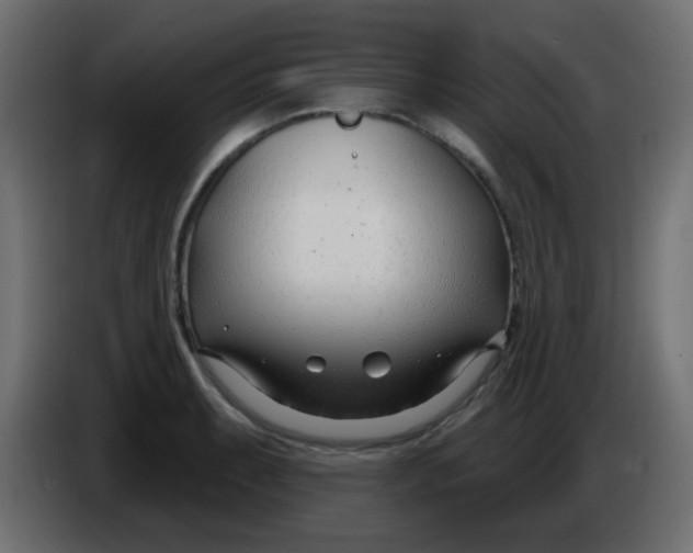 X0000086071087200704132035