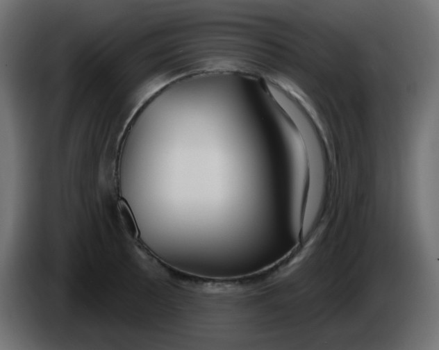 X0000086071089200704132035