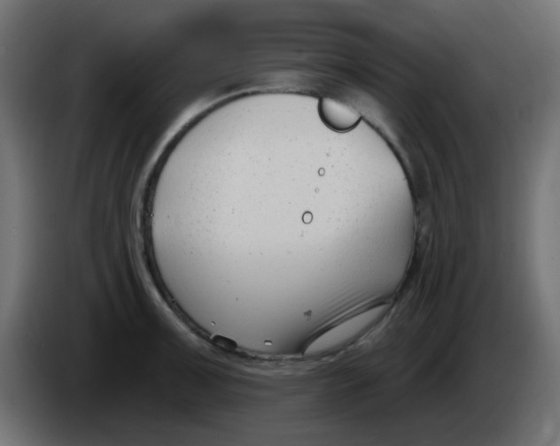 X0000086071091200704132035