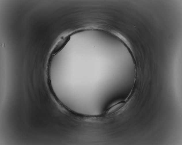 X0000086071093200704132035