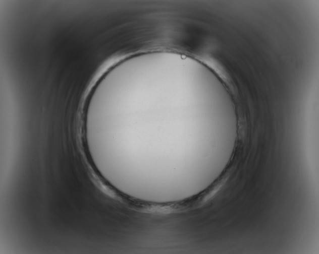 X0000086071094200704132035