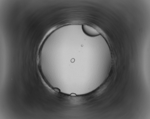 X0000086071095200704132035