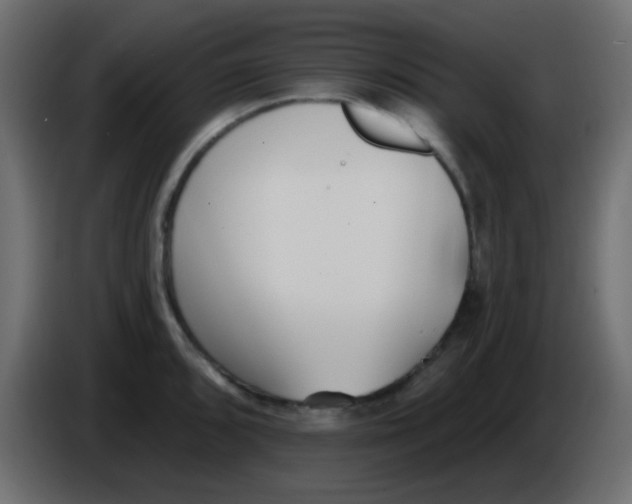 X0000086071096200704132035