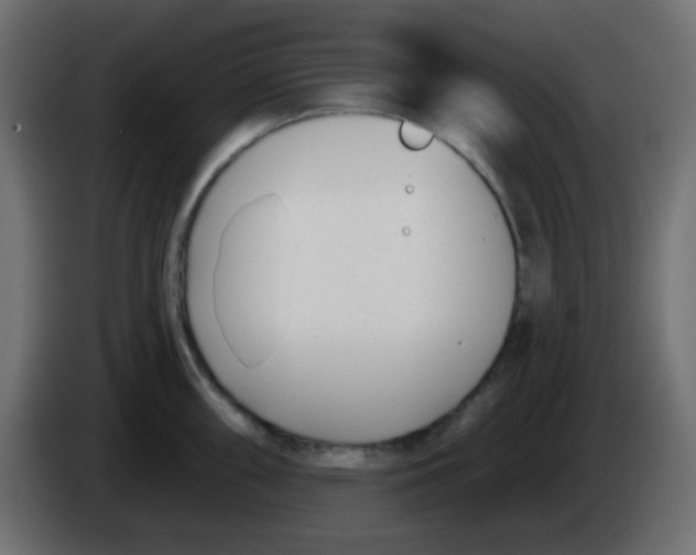 X0000086071098200704132035