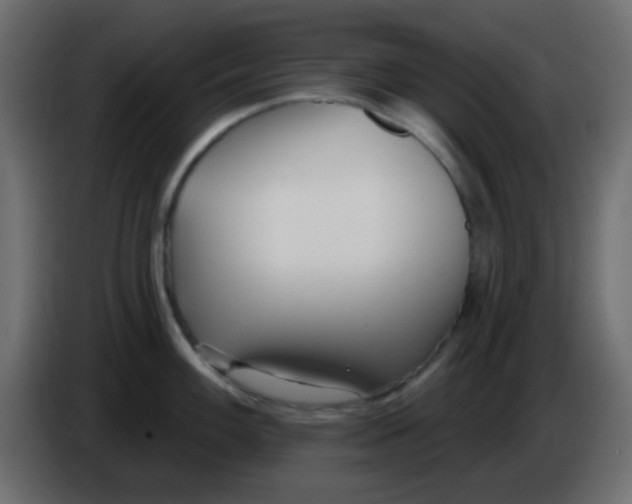 X0000086071100200704132035
