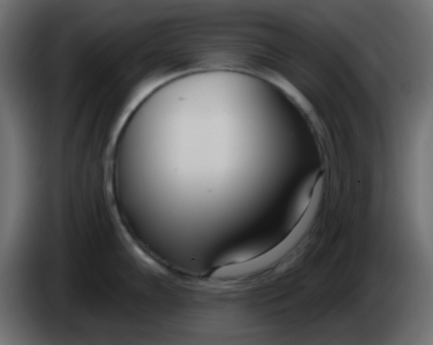 X0000086071102200704132035
