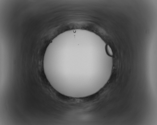 X0000086071109200704132034