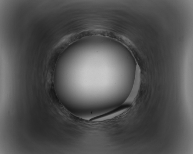 X0000086071110200704132034