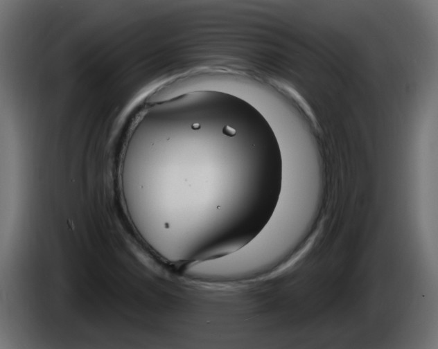 X0000086071114200704132034