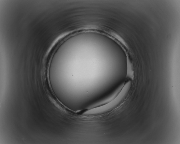 X0000086071116200704132034
