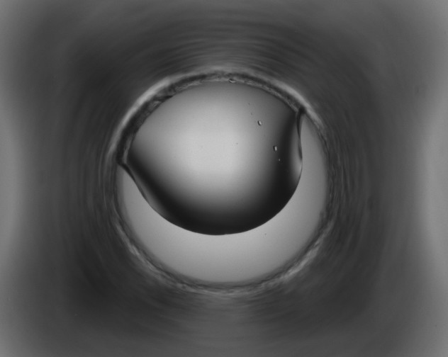 X0000086071118200704132034