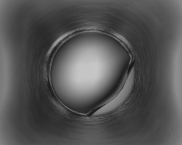 X0000086071120200704132034