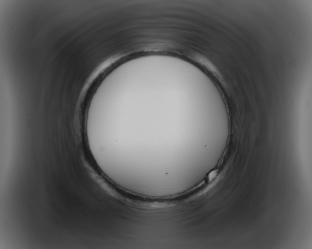 X0000086071122200704132034