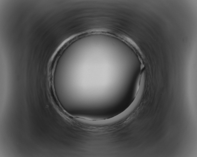 X0000086071124200704132034