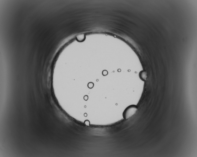 X0000086071126200704132034
