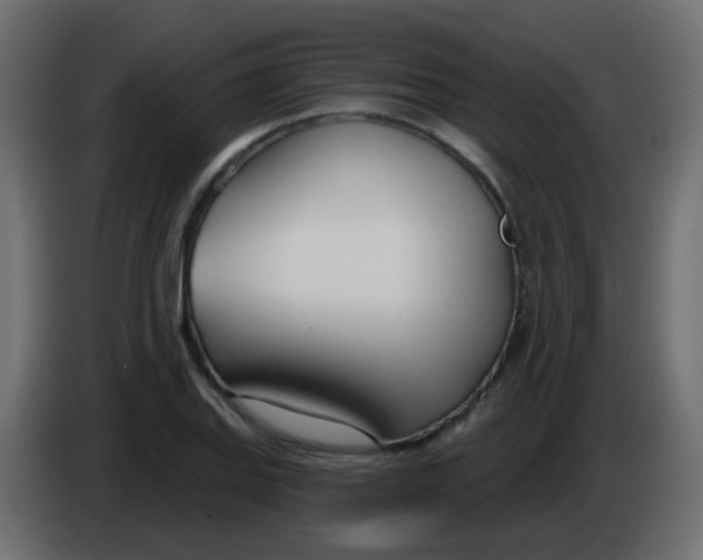 X0000086071127200704132034