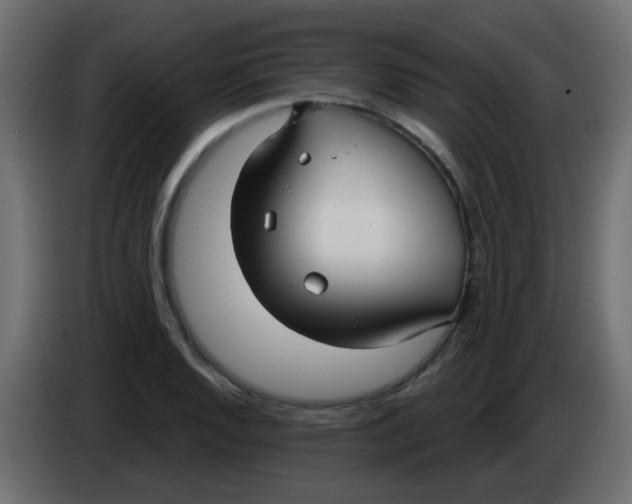 X0000086071128200704132034