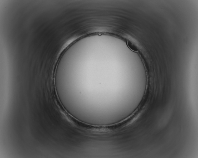 X0000086071129200704132034