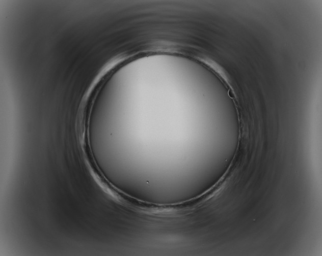 X0000086071131200704132034
