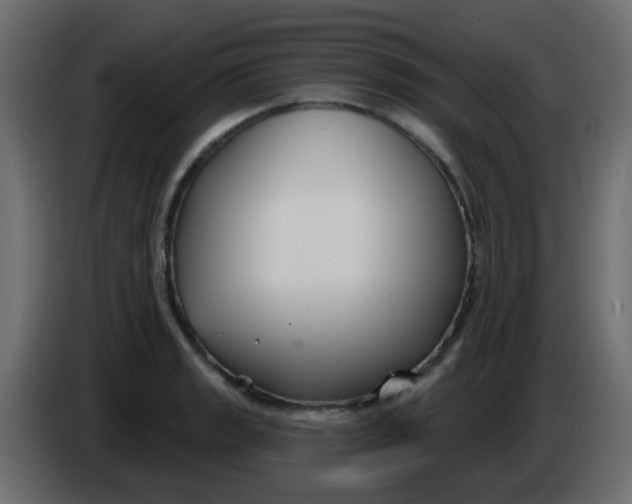 X0000086071133200704132034