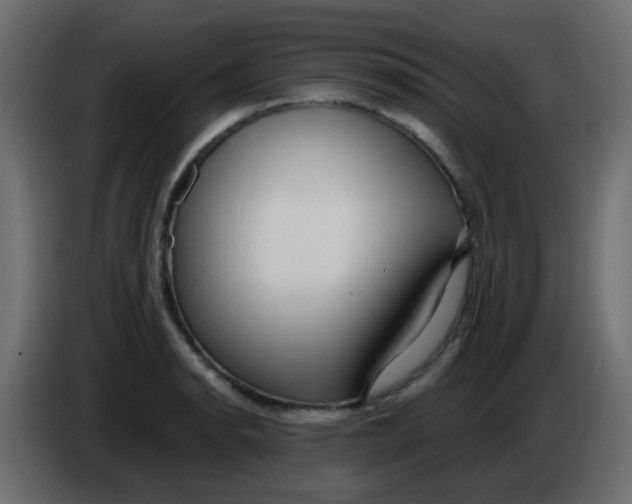 X0000086071134200704132034