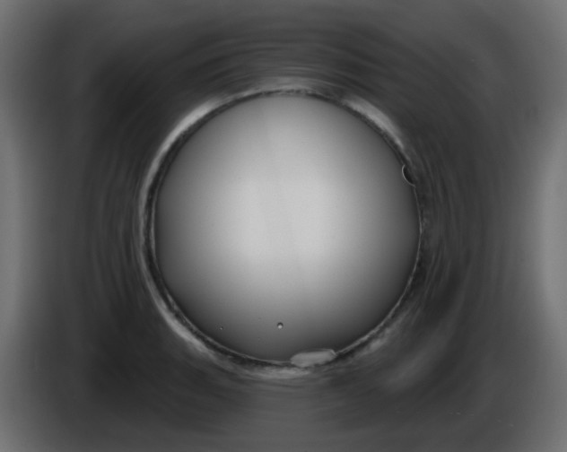 X0000086071135200704132034