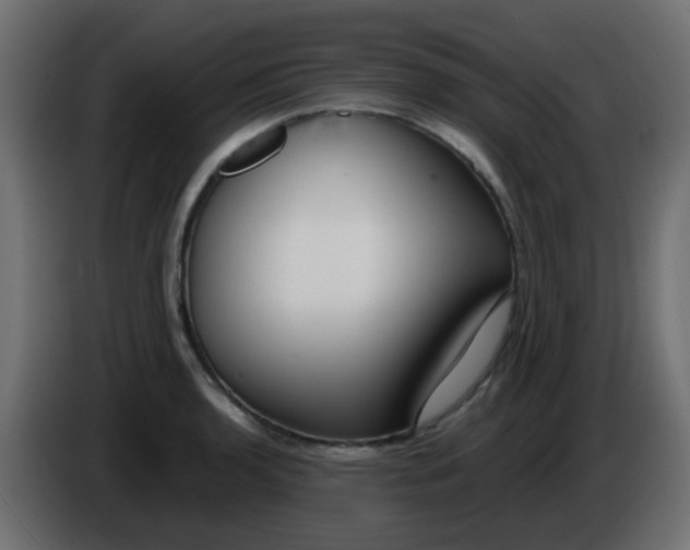 X0000086071136200704132034