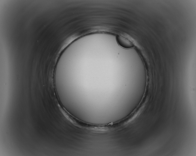 X0000086071137200704132034