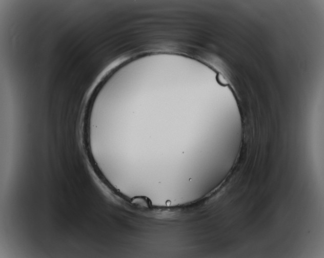X0000086071139200704132034