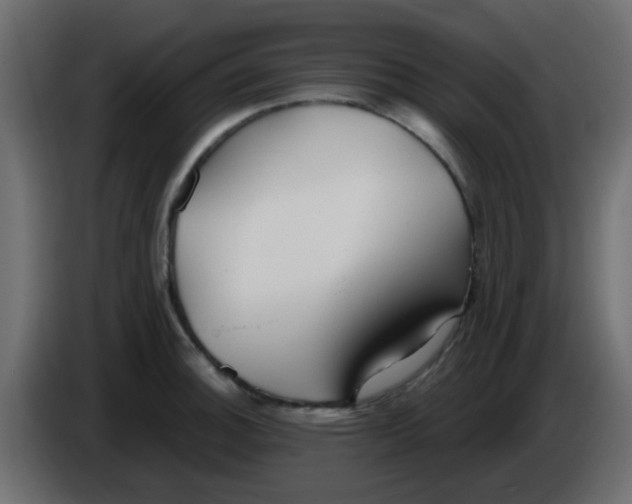 X0000086071140200704132034