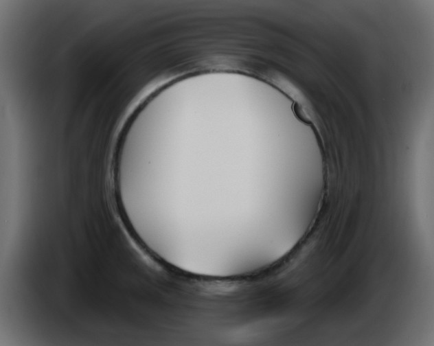 X0000086071141200704132034