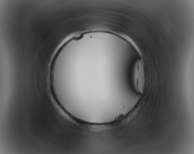 X0000086071142200704132034