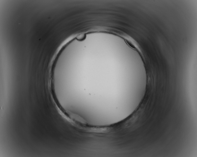 X0000086071143200704132034
