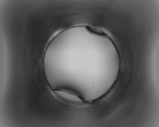 X0000086071145200704132034