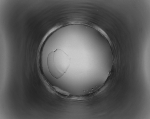 X0000086071146200704132034