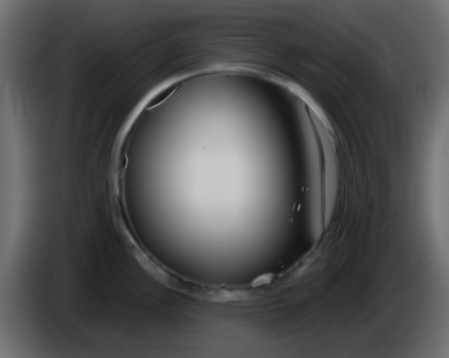 X0000086071148200704132035