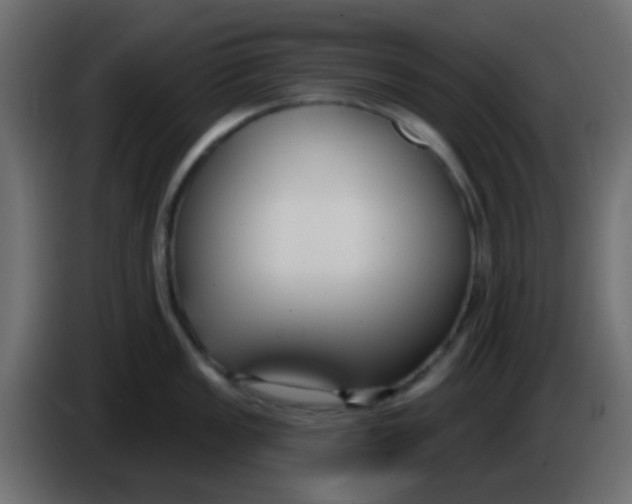 X0000086071149200704132035