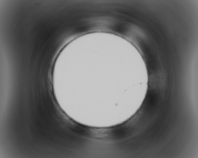 X0000086071150200704132035