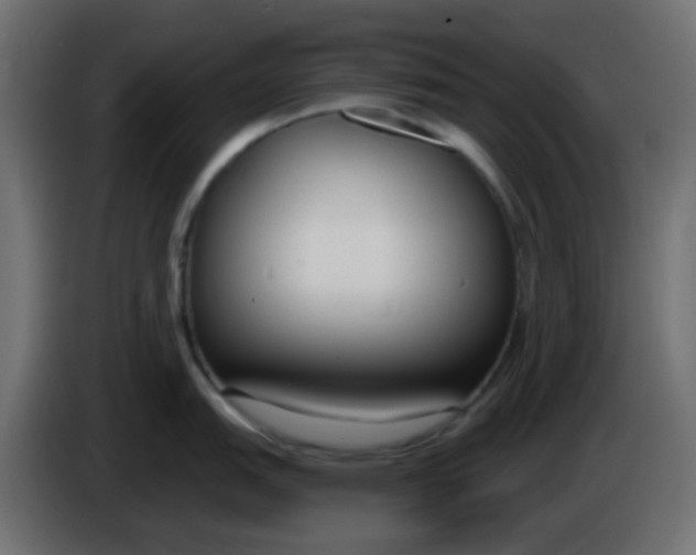 X0000086071151200704132035