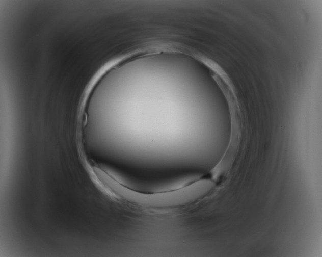 X0000086071152200704132035