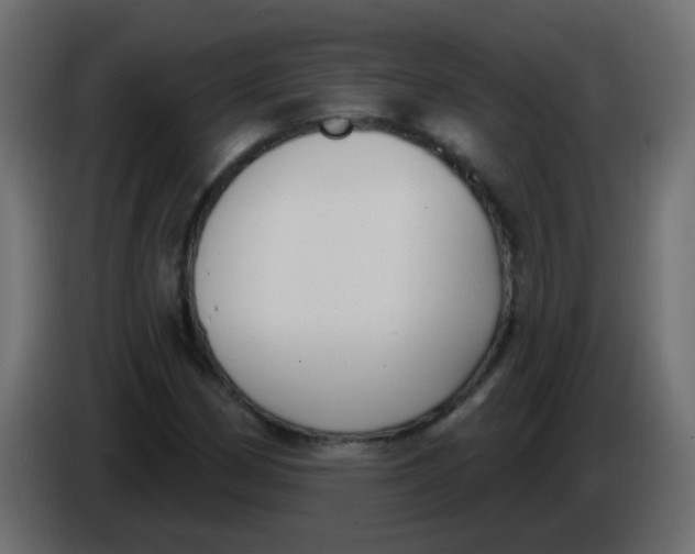 X0000086071162200704132034