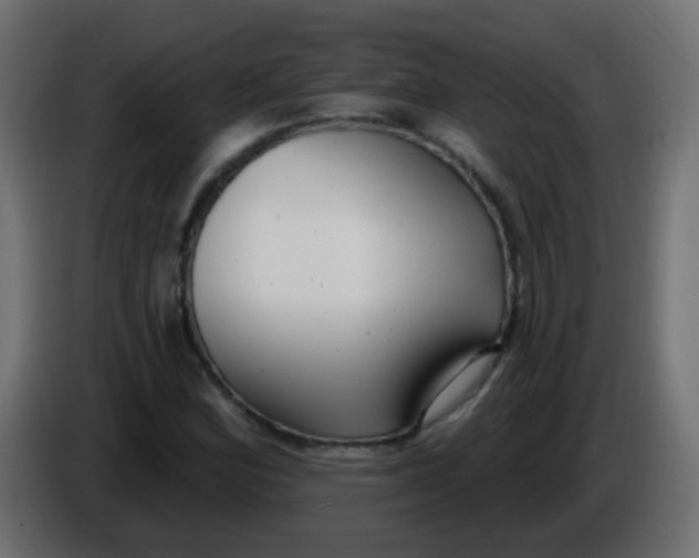 X0000086071164200704132034