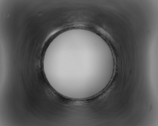 X0000086071166200704132034