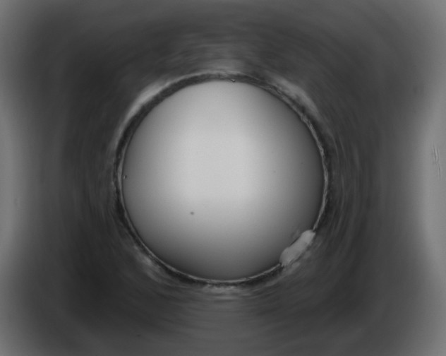X0000086071168200704132034