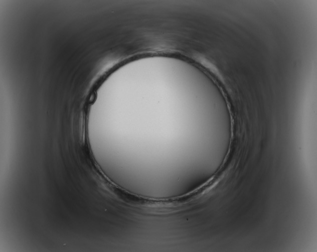 X0000086071171200704132034