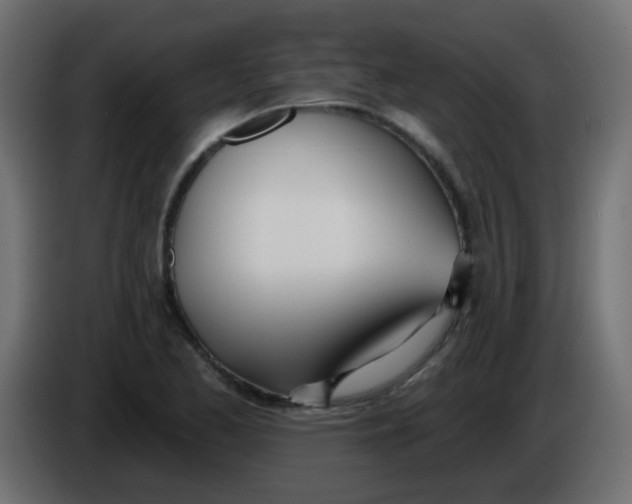 X0000086071173200704132034
